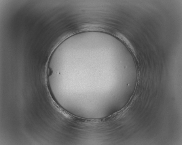 X0000073511386200608281656