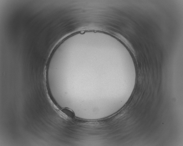 X0000073511388200608281656