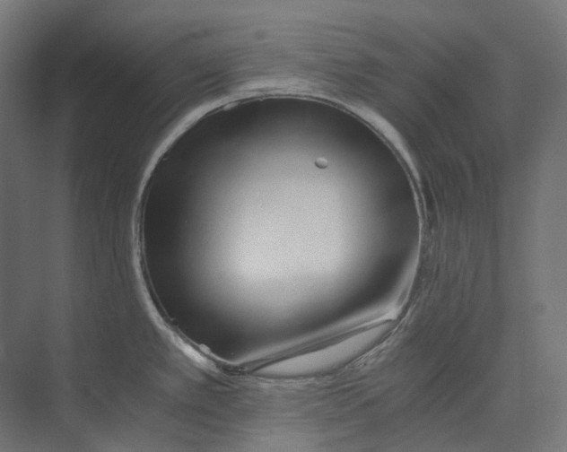 X0000073511389200608281656