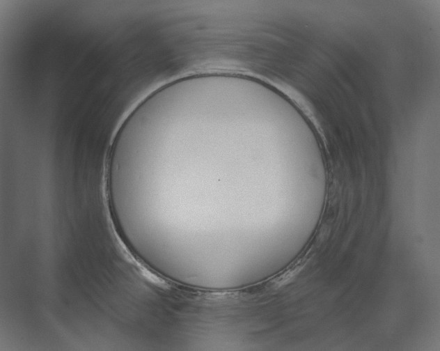 X0000073511390200608281656