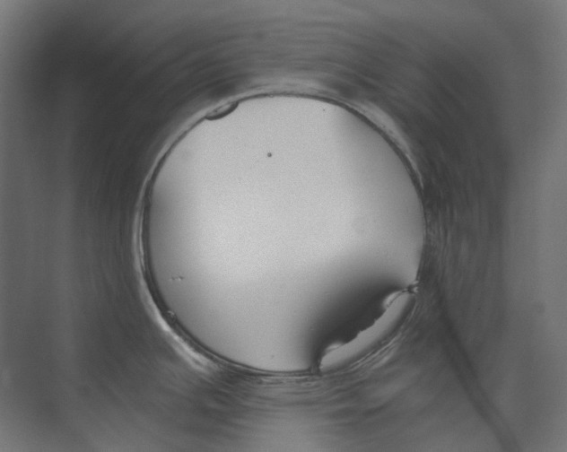 X0000073511391200608281656