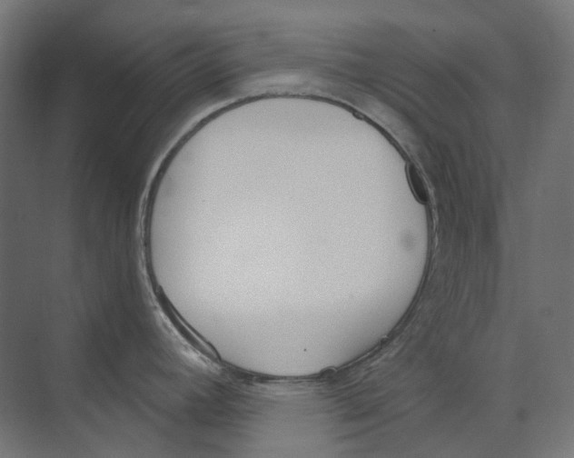 X0000073511392200608281656