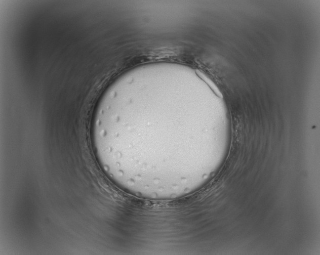 X0000073511393200608281655