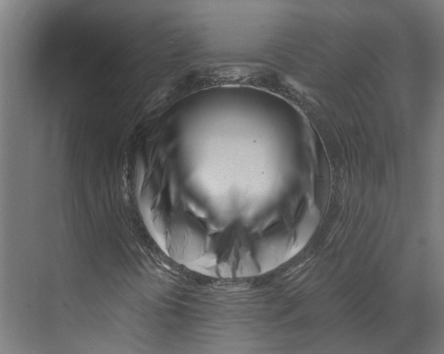 X0000073511394200608281655