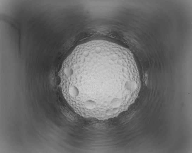 X0000073511395200608281655