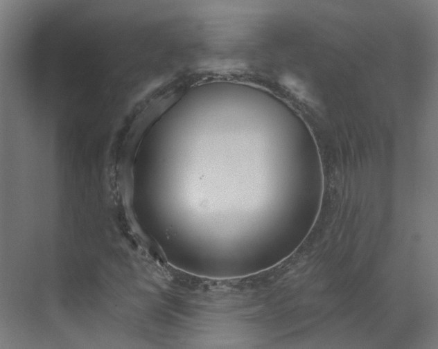 X0000073511398200608281655