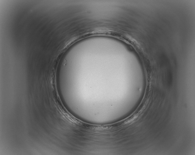 X0000073511401200608281655