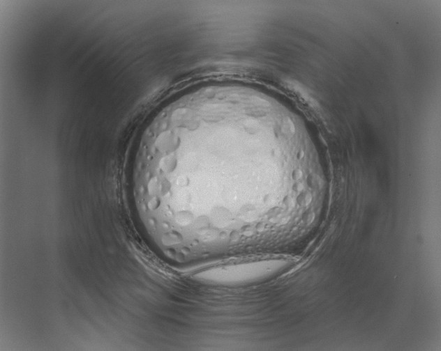 X0000073511403200608281655