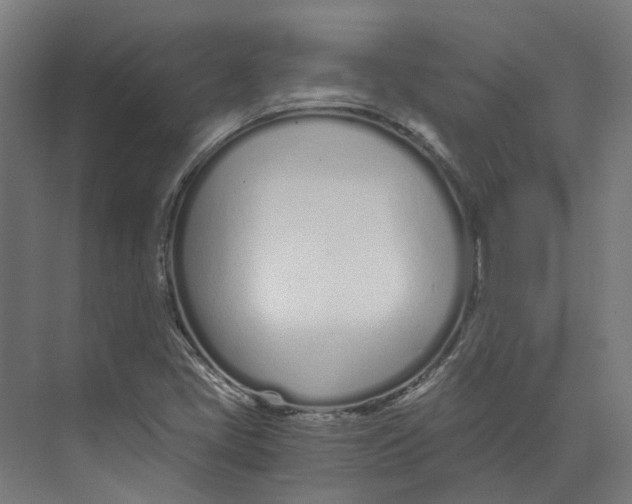 X0000073511405200608281655