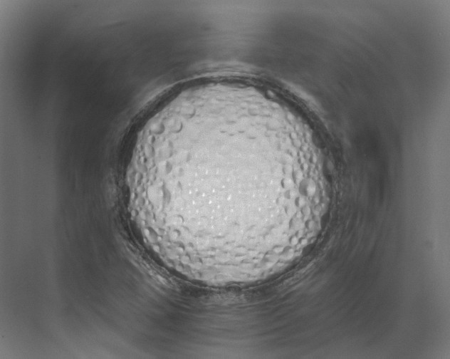 X0000073511407200608281655