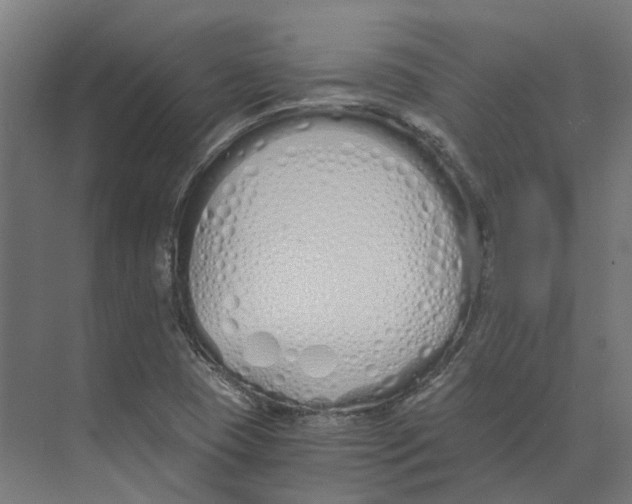 X0000073511409200608281655