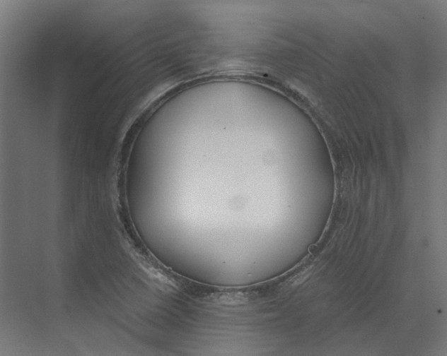 X0000073511410200608281655