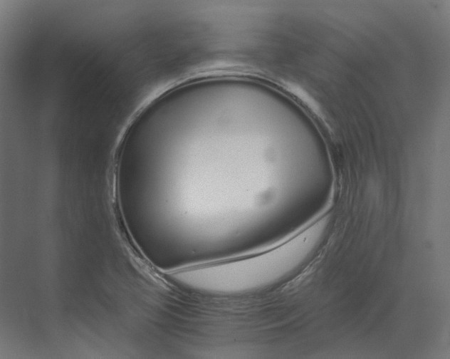 X0000073511413200608281655