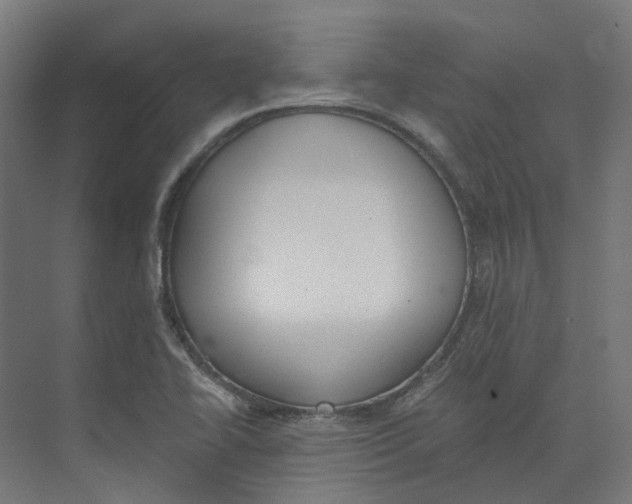 X0000073511414200608281655