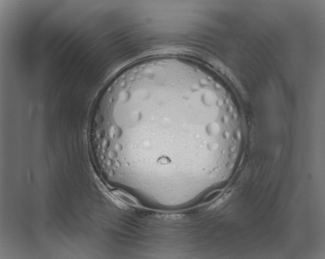 X0000073511417200608281655