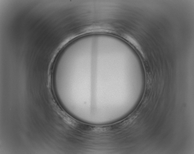 X0000073511419200608281655