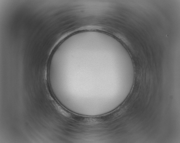 X0000073511420200608281655