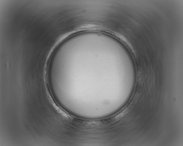 X0000073511421200608281655