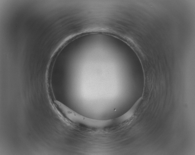 X0000073511422200608281655