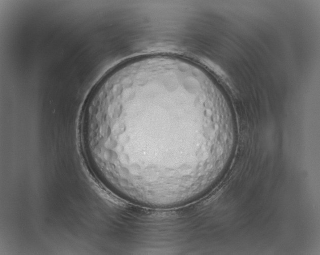 X0000073511423200608281655