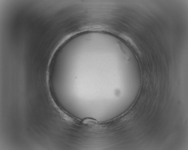 X0000073511424200608281655