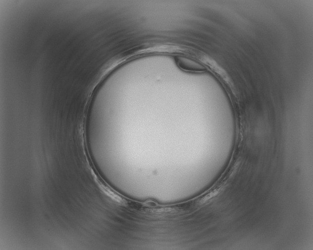 X0000073511425200608281655