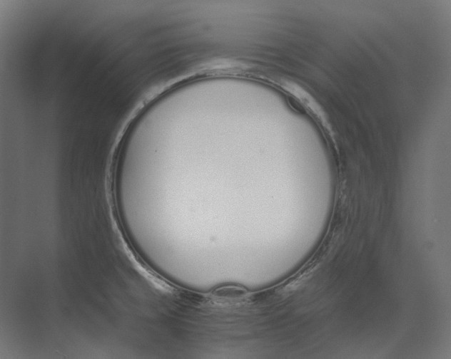 X0000073511429200608281655