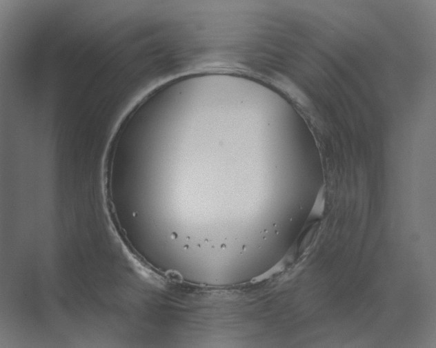 X0000073511430200608281655