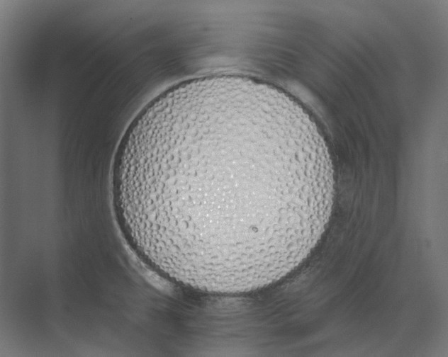 X0000073511431200608281655