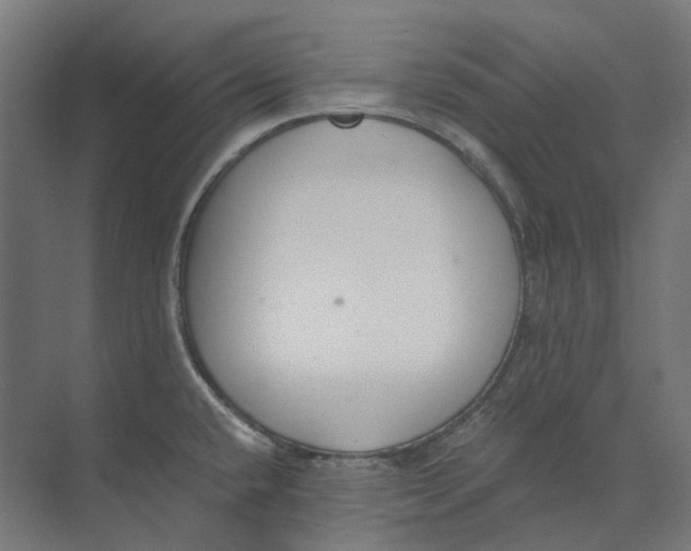 X0000073511432200608281656