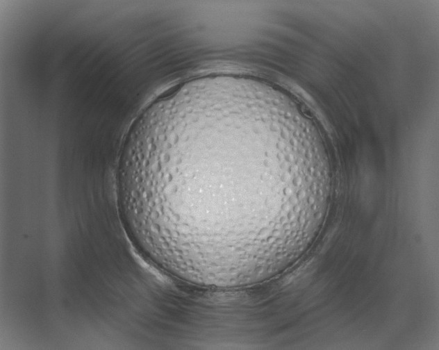 X0000073511433200608281656