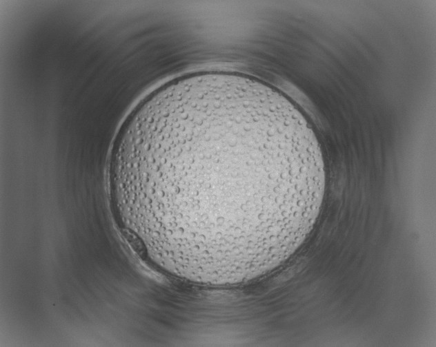 X0000073511436200608281656