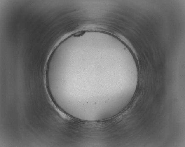 X0000073511437200608281656