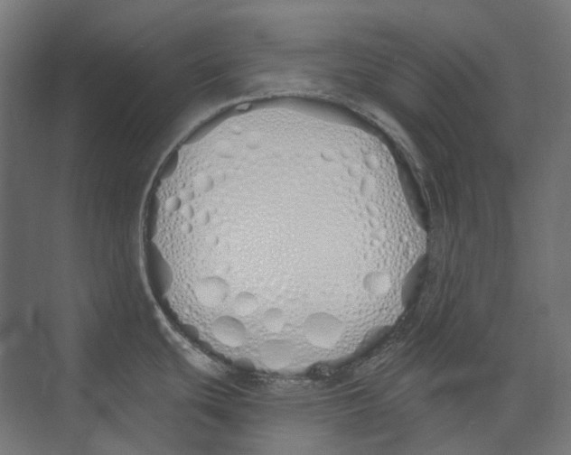 X0000073511439200608281656