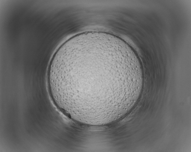 X0000073511440200608281656