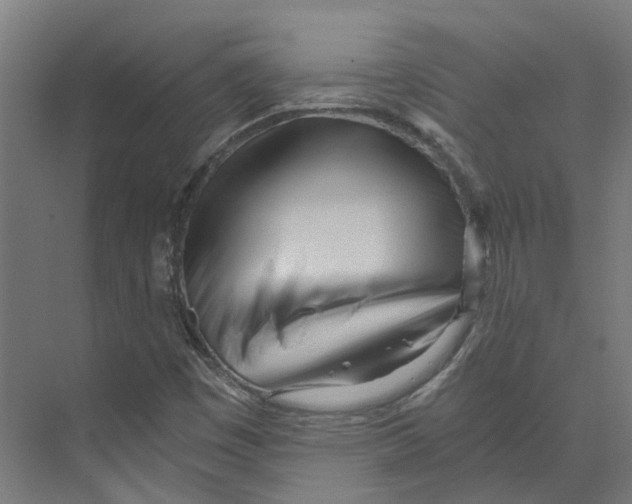 X0000073511449200608281655