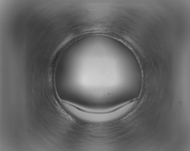 X0000073511450200608281655