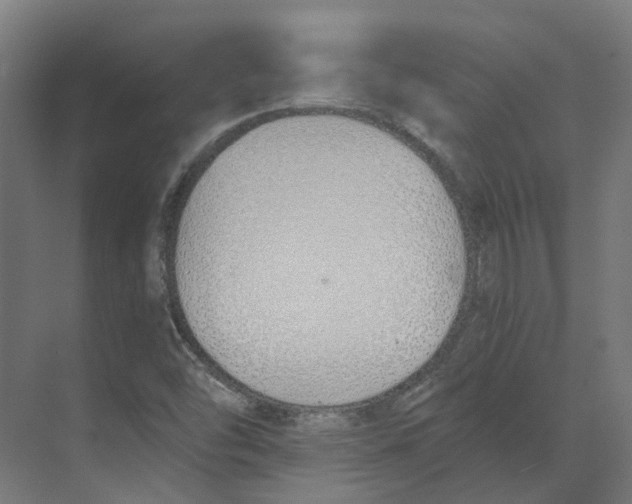 X0000073511454200608281655