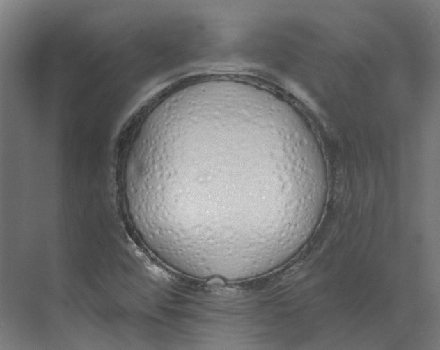 X0000073511456200608281655