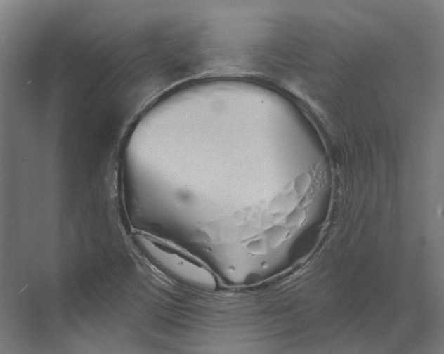 X0000073511459200608281655