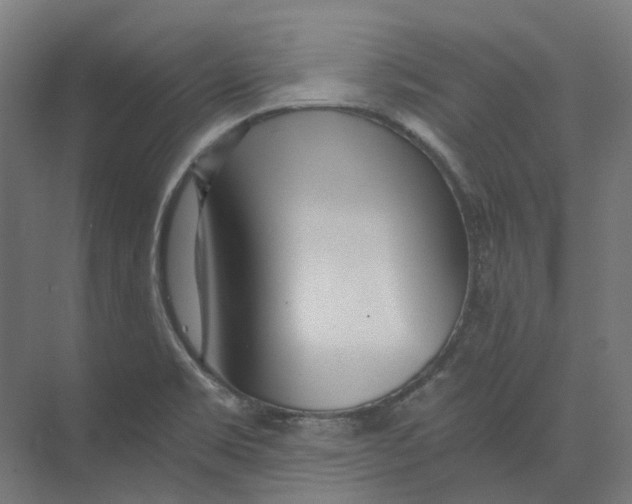 X0000073511469200608281654
