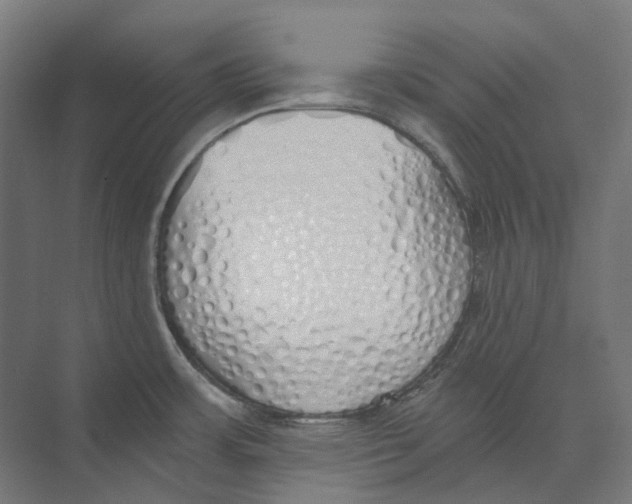 X0000073511483200608281654