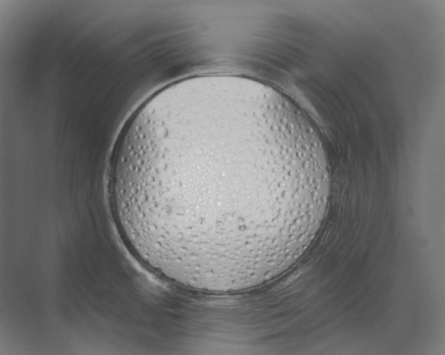 X0000073511484200608281654
