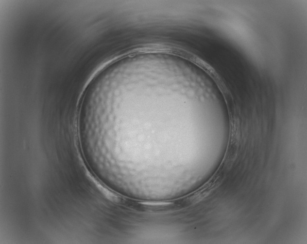 X0000073511487200608281654
