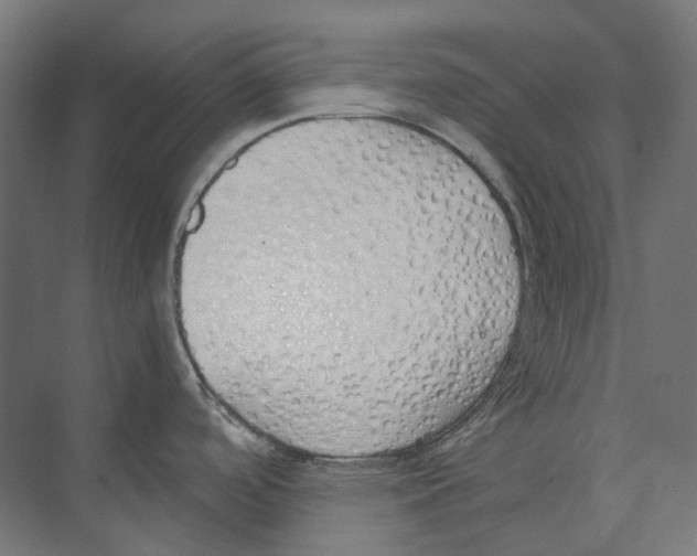 X0000073511488200608281654