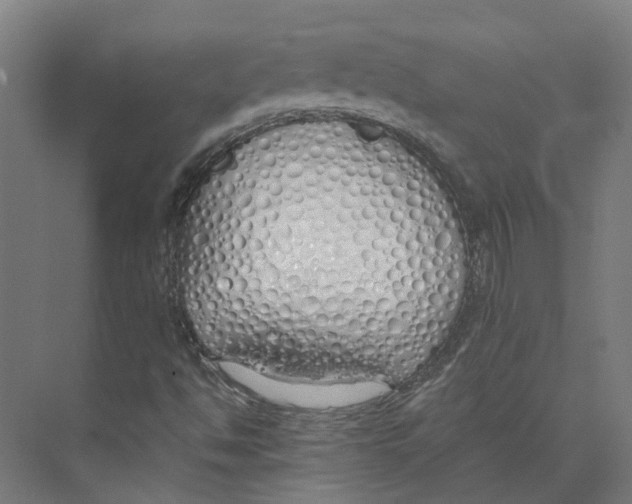 X0000073511494200608281653