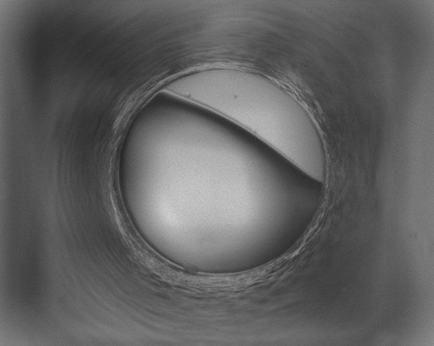 X0000073520001200607311002