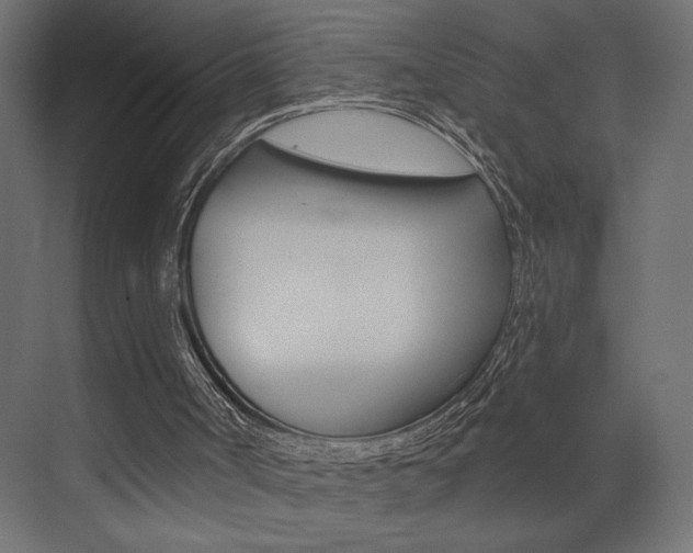 X0000073520002200607311002