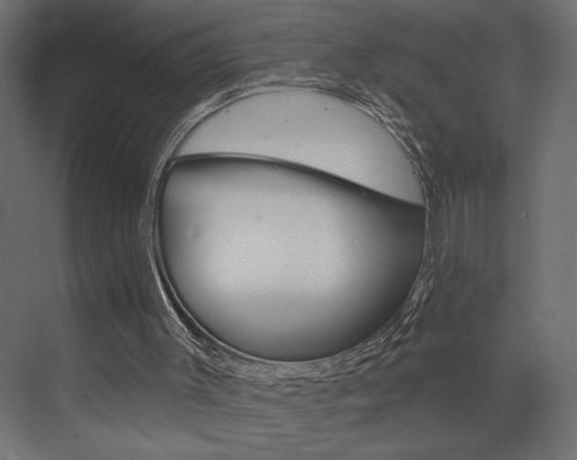 X0000073520003200607311001