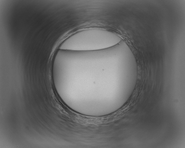 X0000073520004200607311001